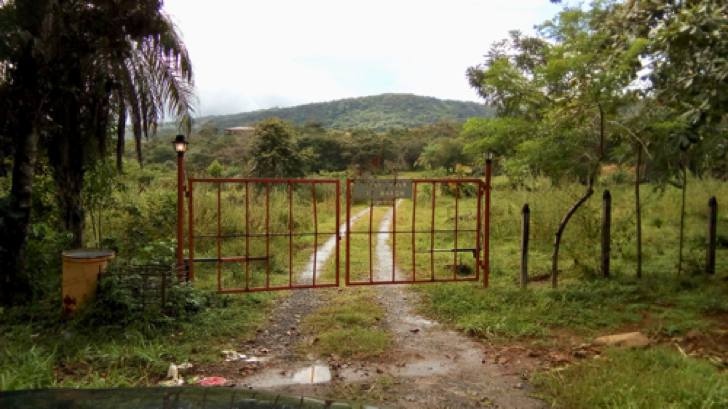 Show this picture of our gate to the bus driver. The light on the left post is always on. Show this picture of our gate to the bus driver. The light on the left post is always on.